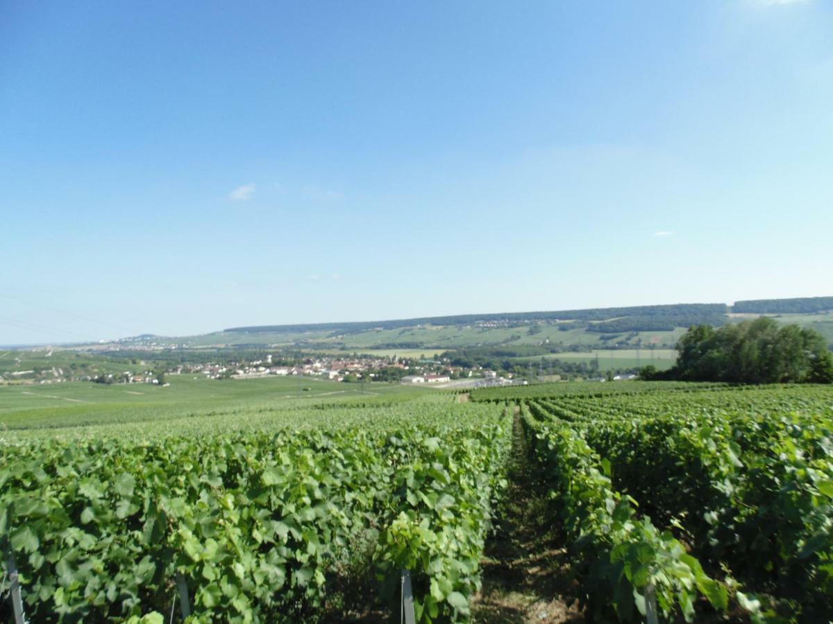 La Mignonette Leilighet Épernay Eksteriør bilde